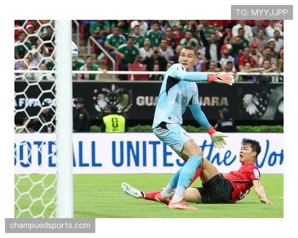 厄瓜多尔冲击2026美加墨世界杯：南美劲旅能否突围晋级正赛